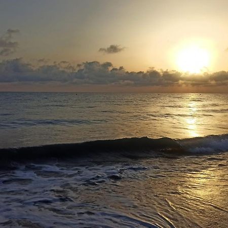 דירות דניה La Playa A 2 Minutos Y 14 Segundos A Pie מראה חיצוני תמונה